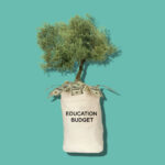 Photo of education budget growing in trees